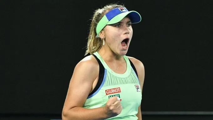 家队的作用 家队的作用